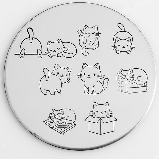 Cute Cats