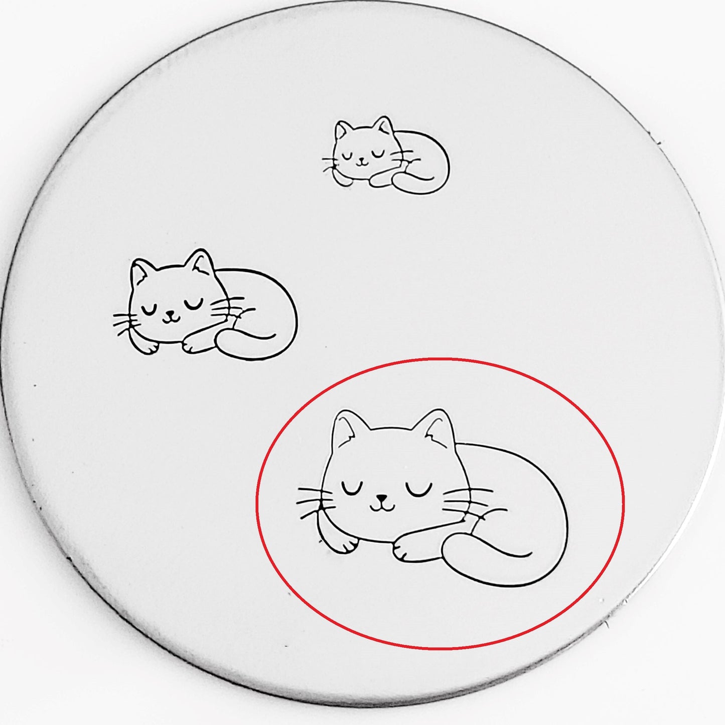 Cute Cats
