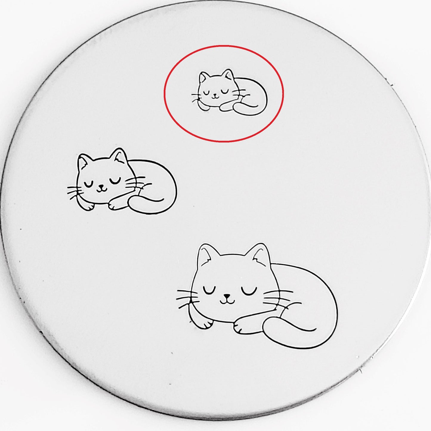 Cute Cats