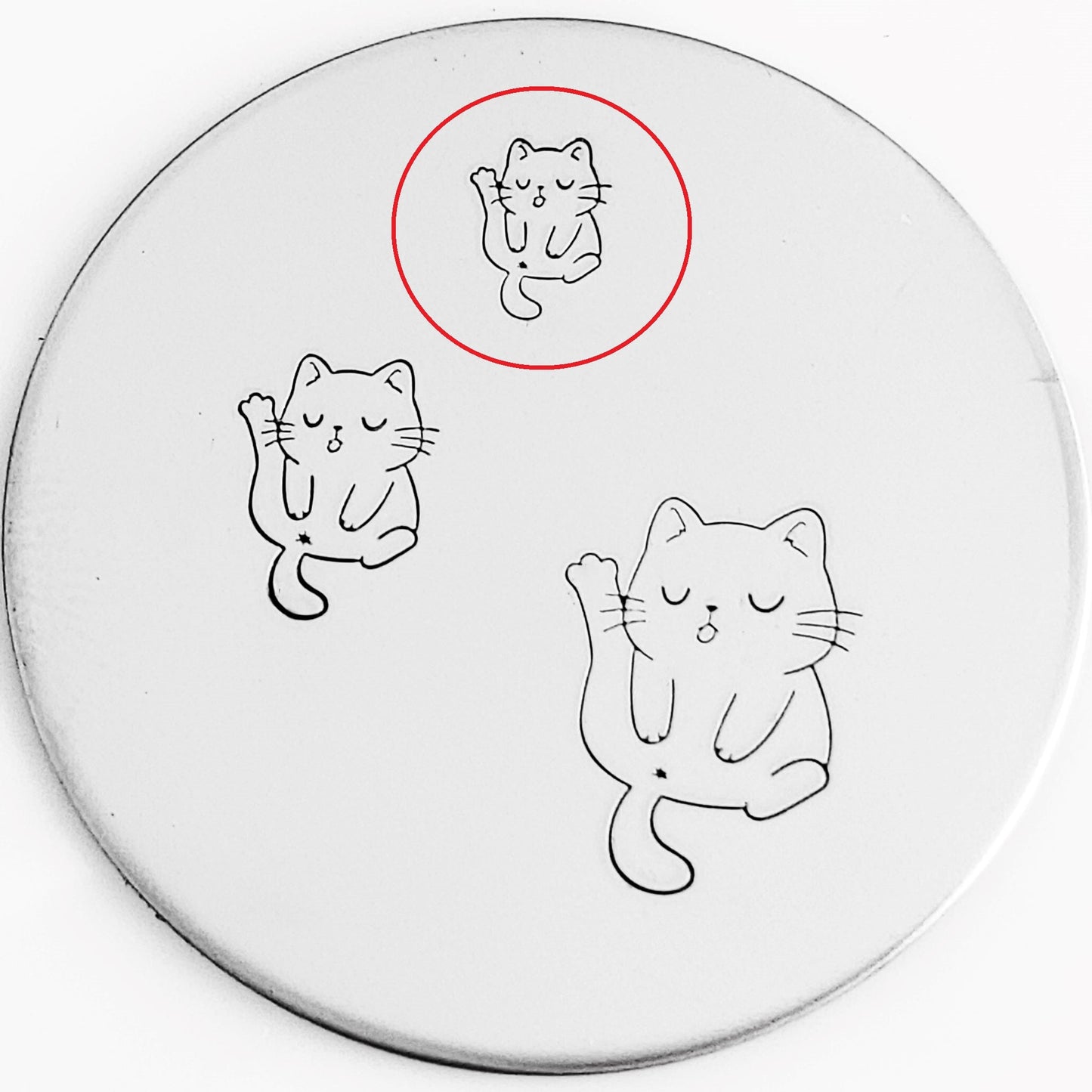 Cute Cats