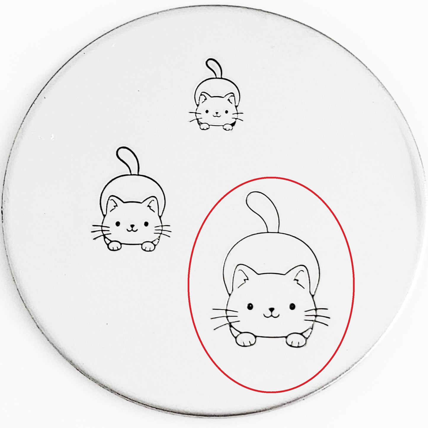 Cute Cats
