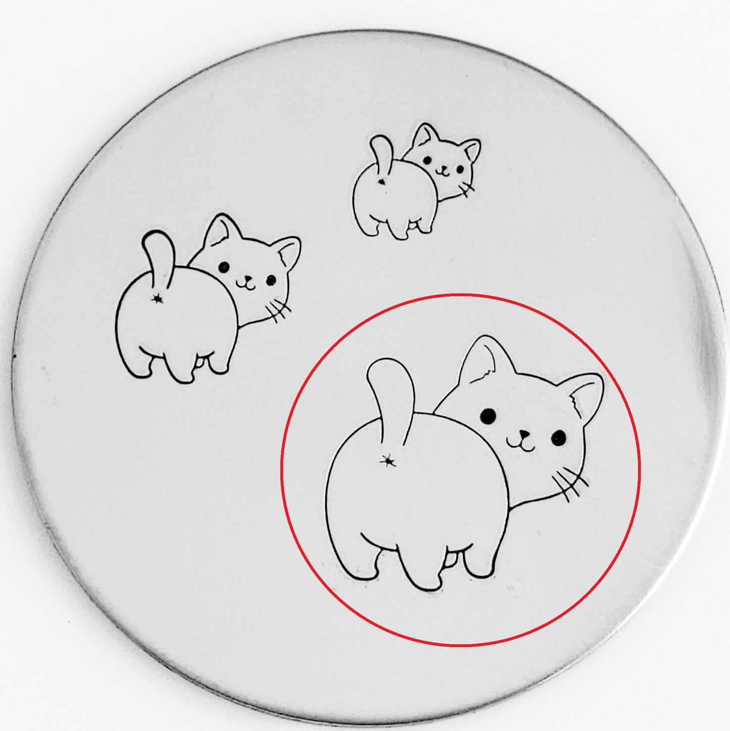 Cute Cats