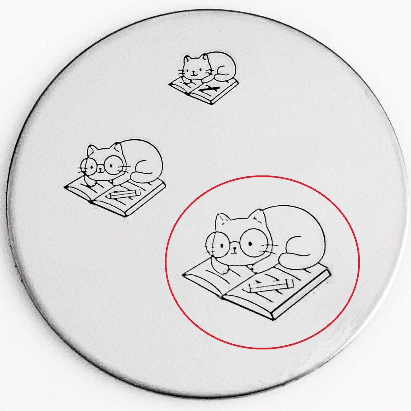 Cute Cats