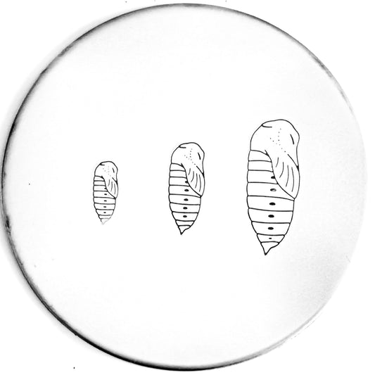 Cocoon