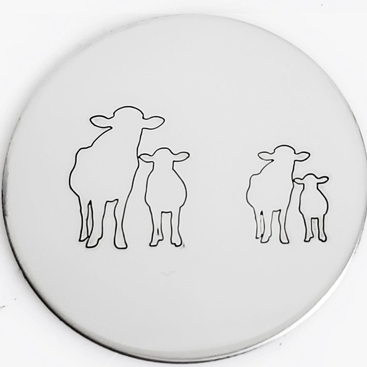Cows