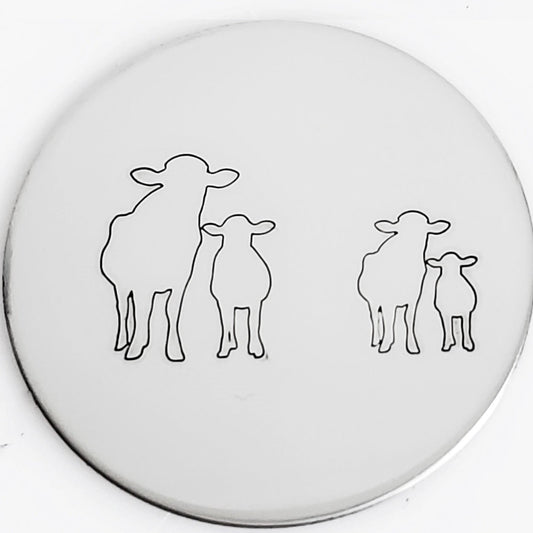 Cows