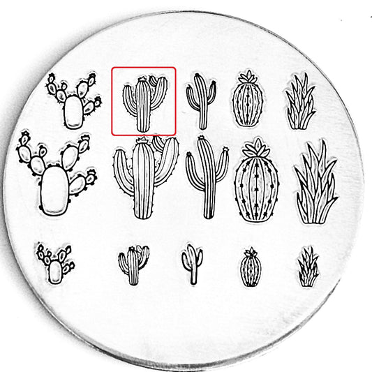 X02288-Cactus#06-8.0