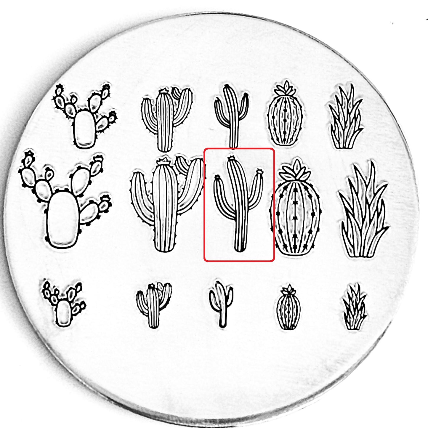 Cactus #07