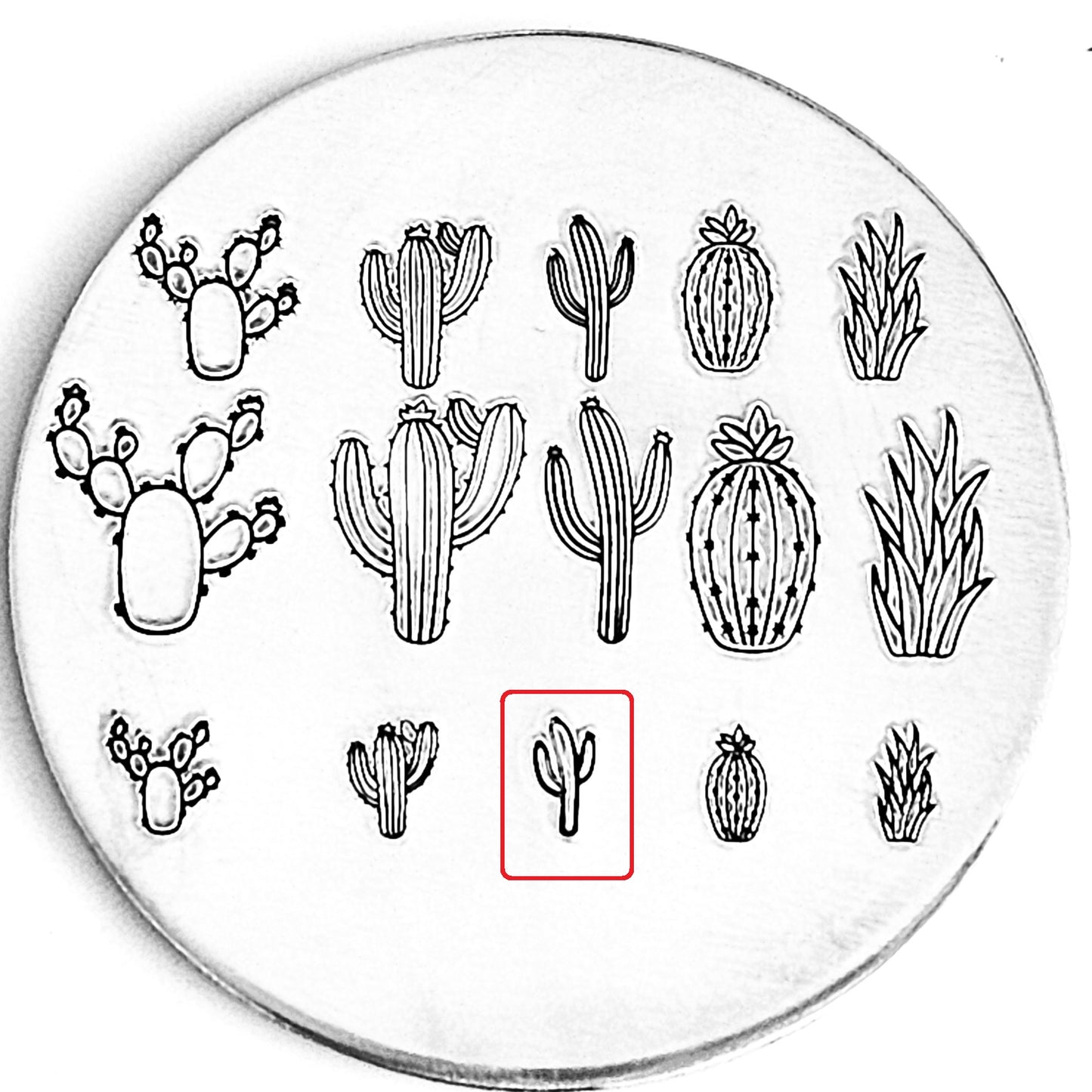 Cactus #07