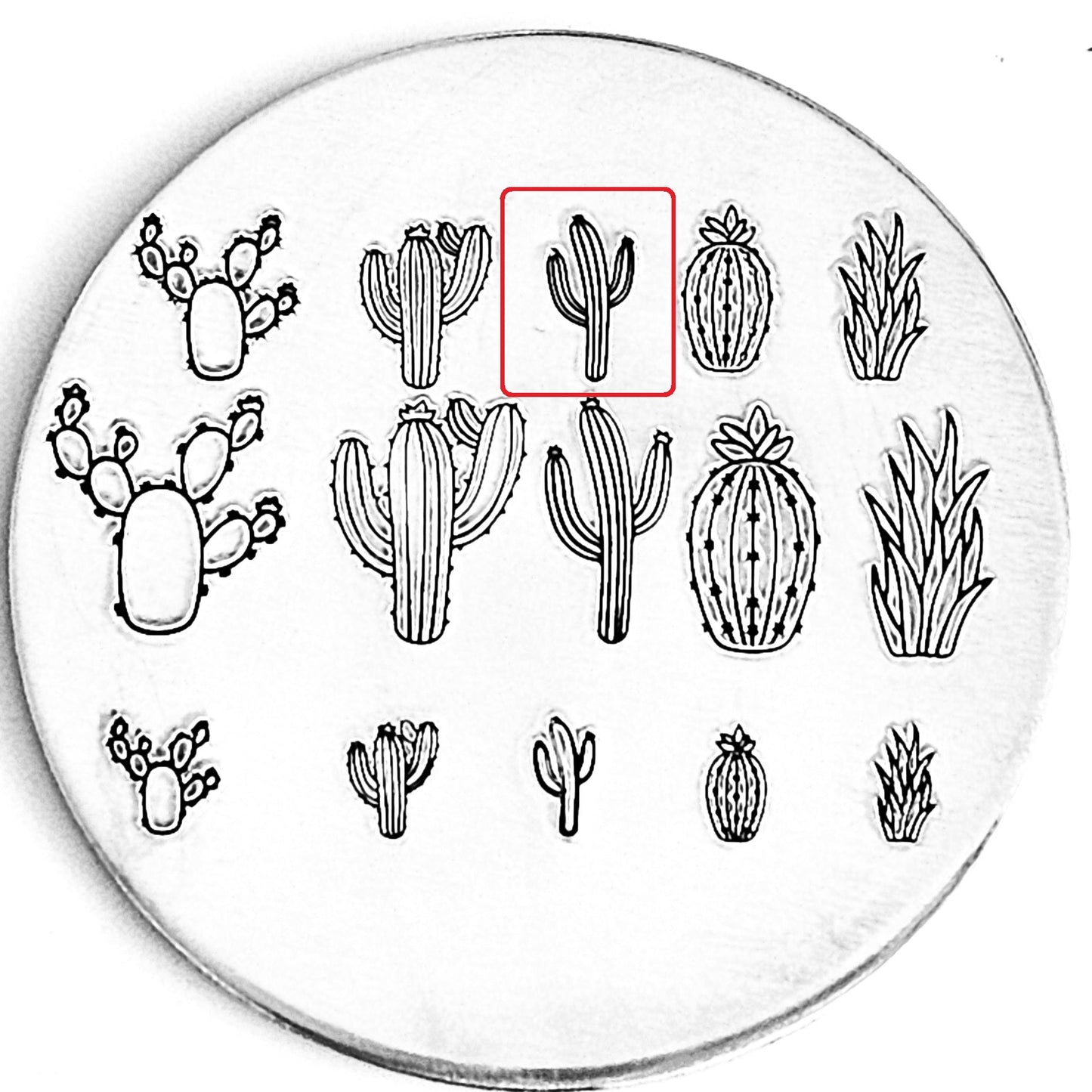 Cactus #07