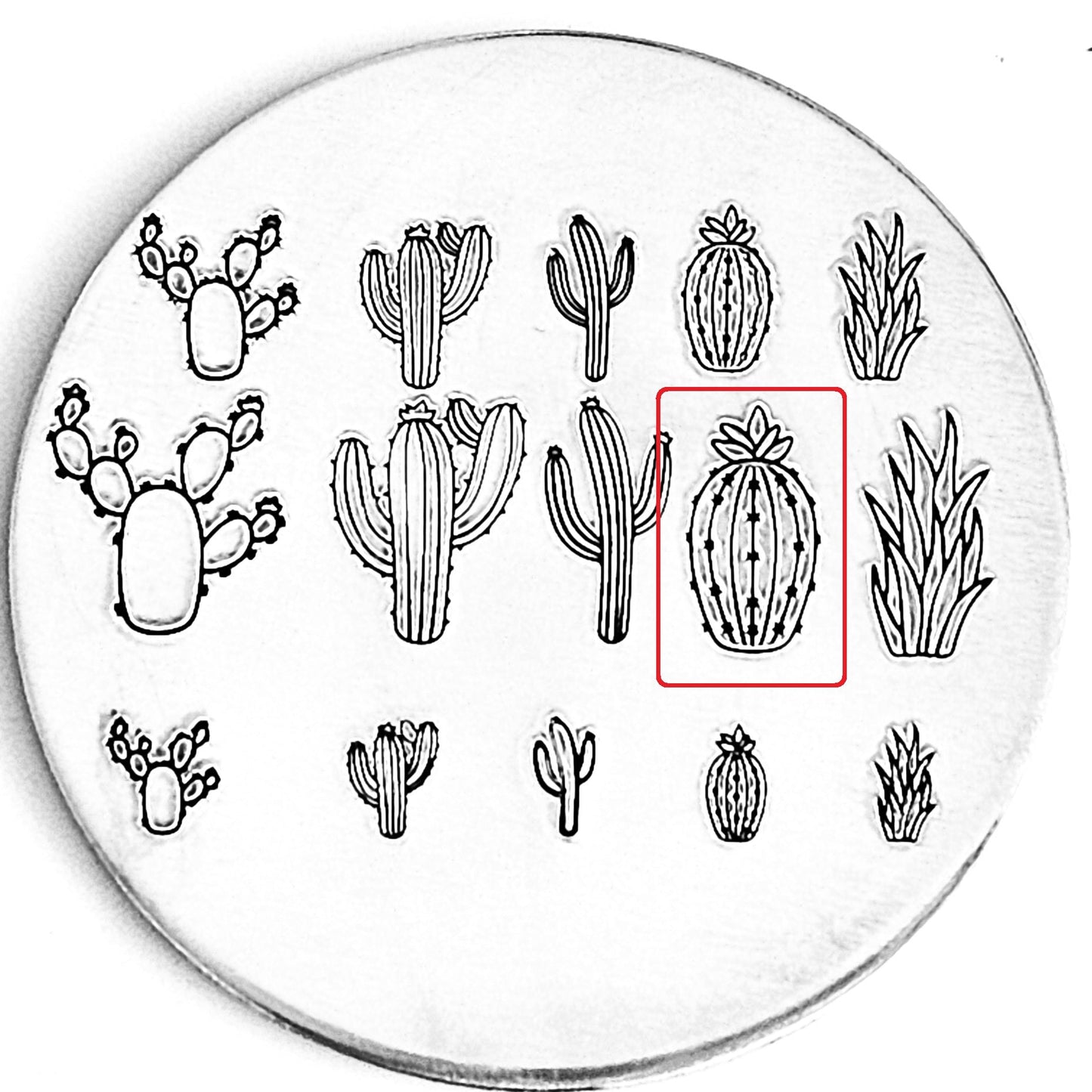 Cactus #08