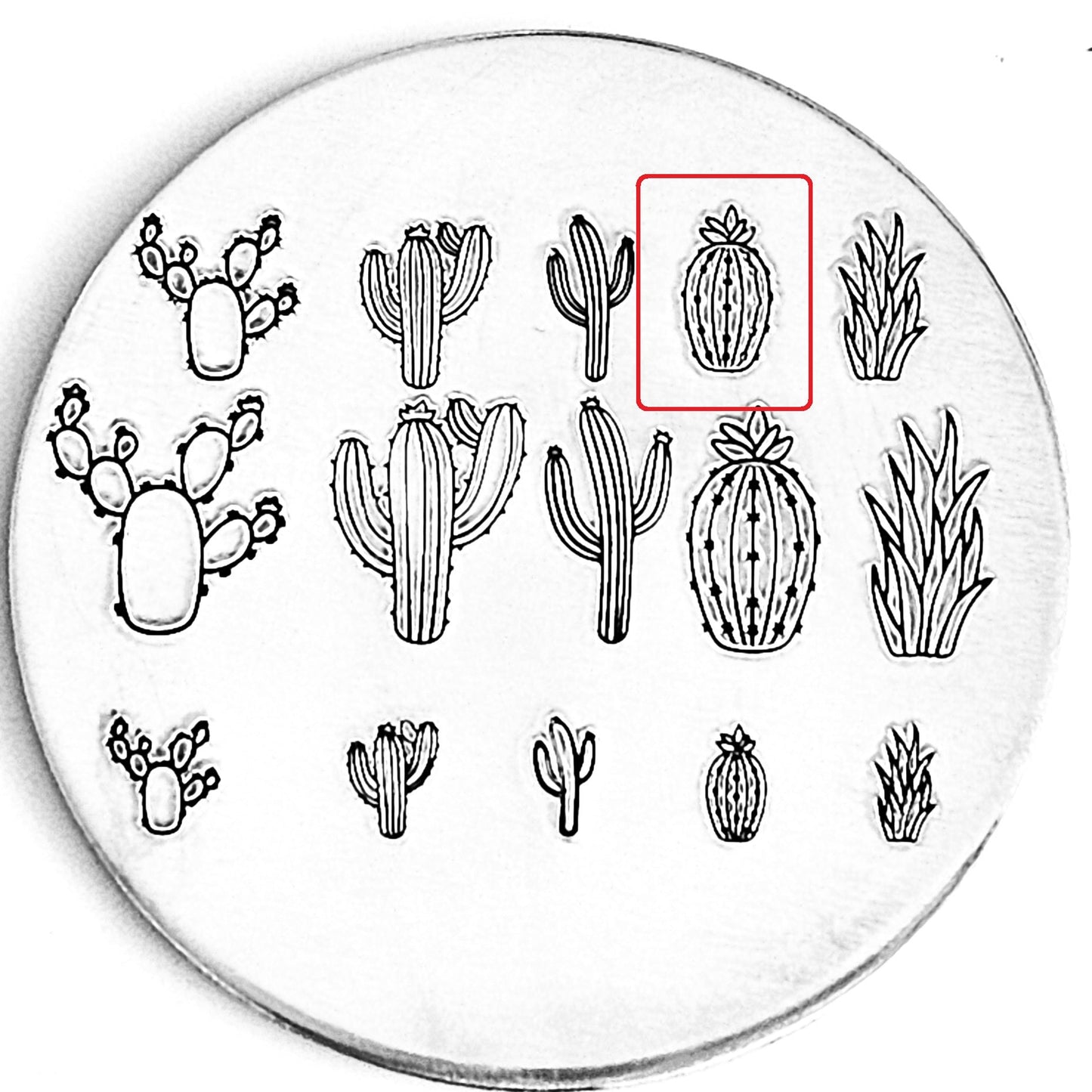Cactus #08