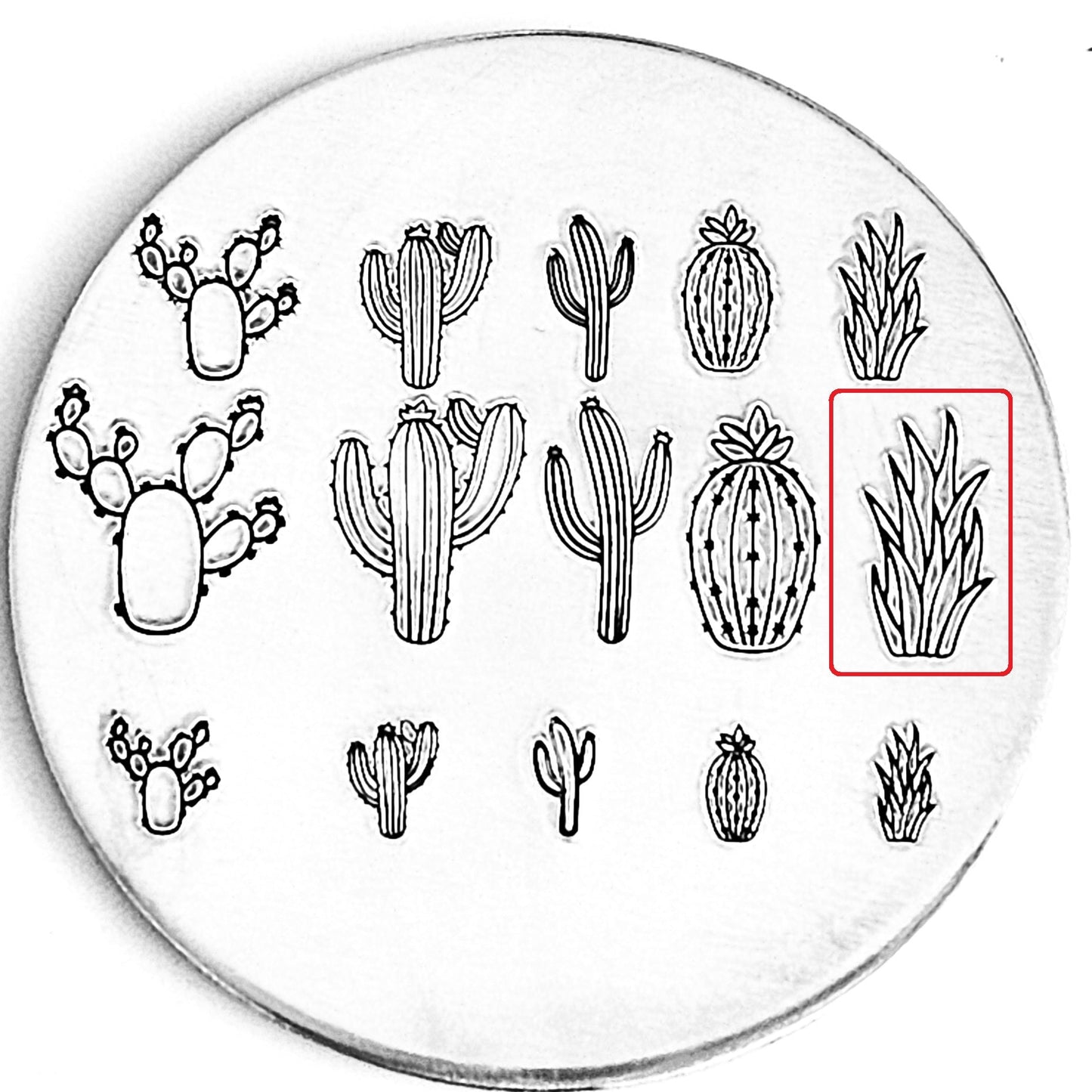 Cactus #09