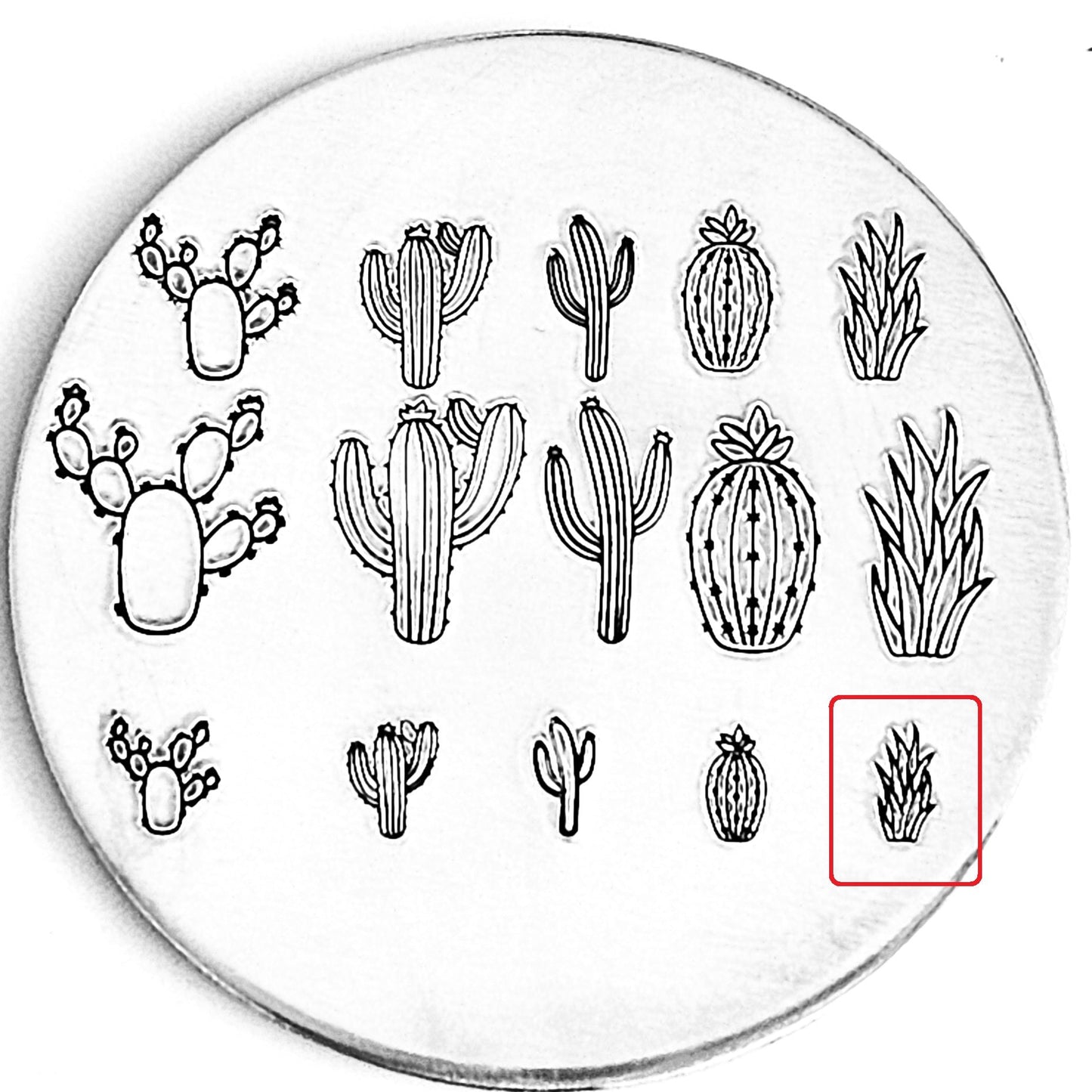 Cactus #09