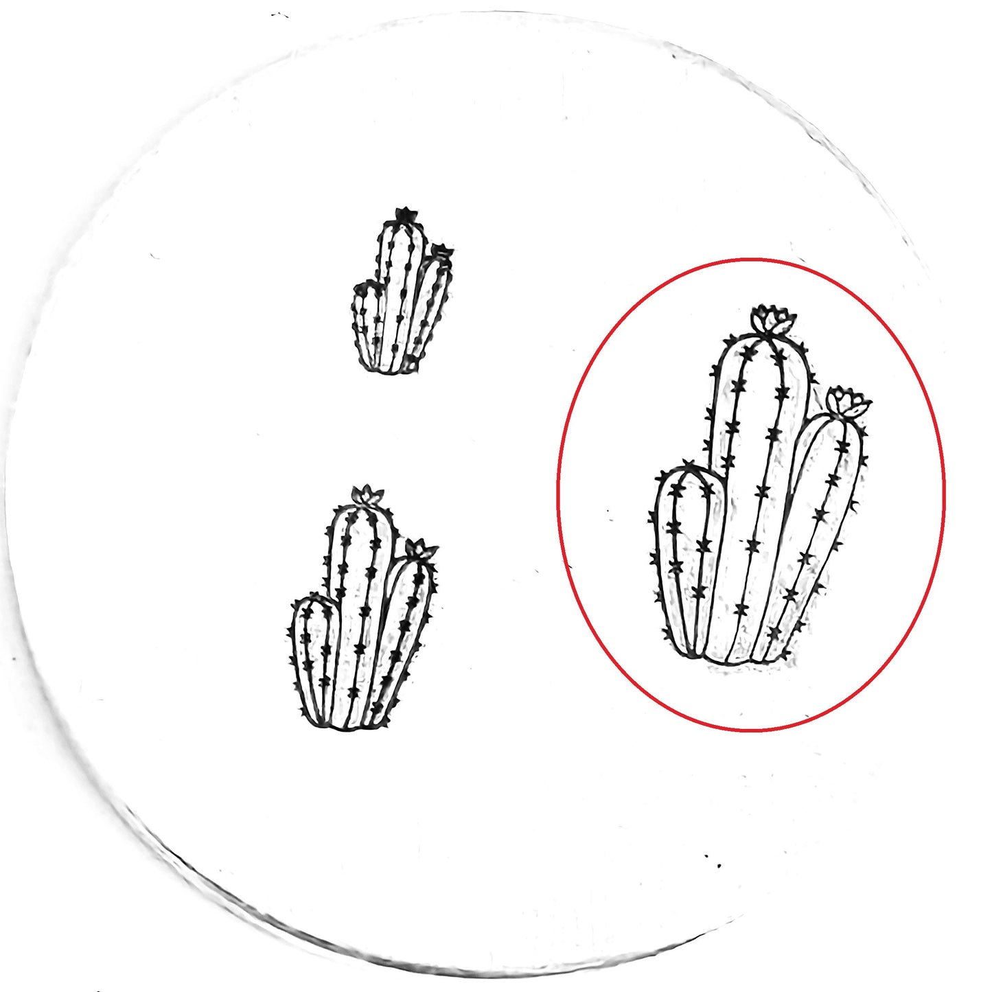Cactus #10