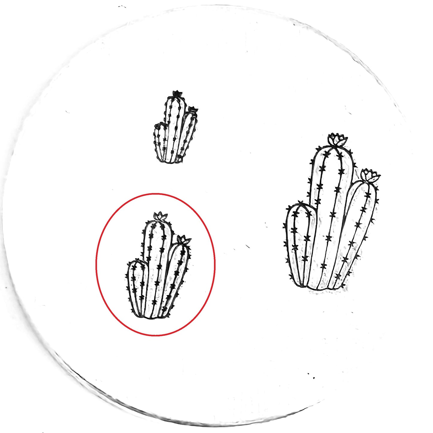 Cactus #10