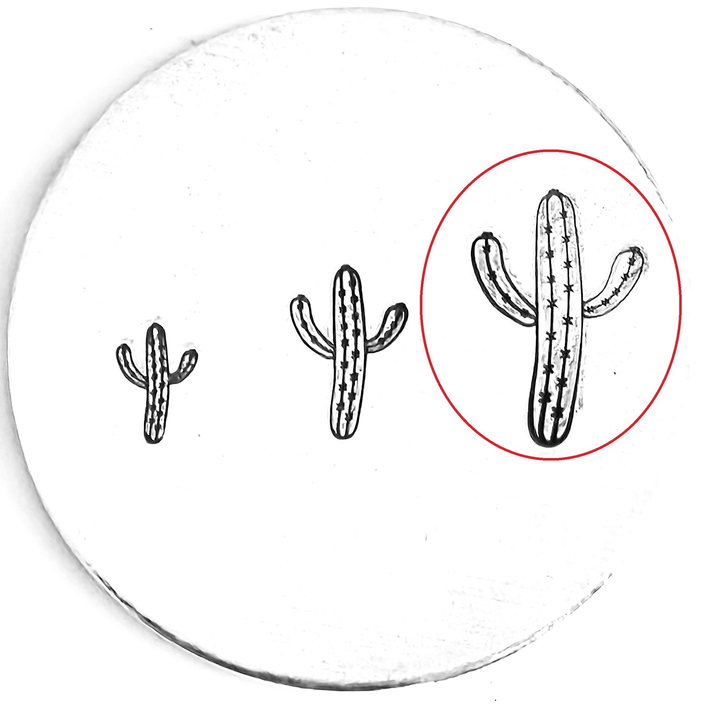 Cactus #11