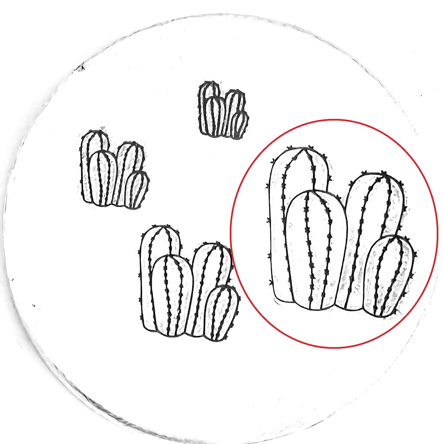 Cactus #12