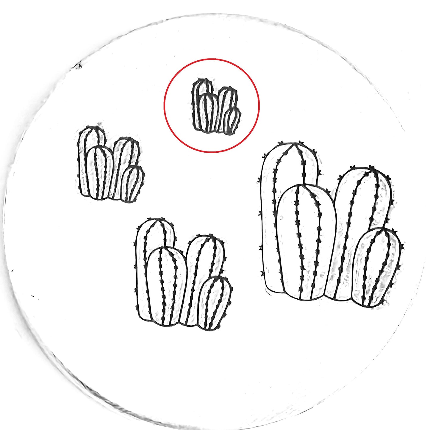 Cactus #12