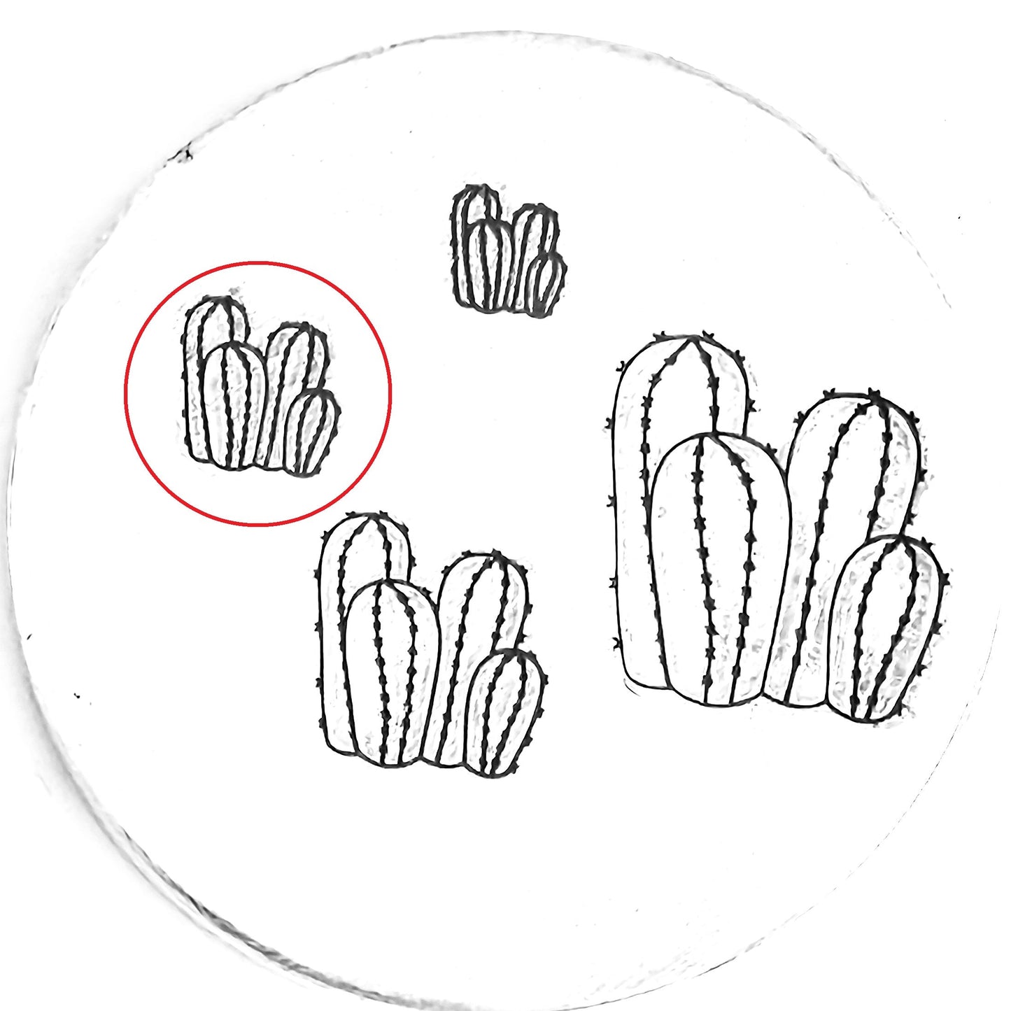 Cactus #12