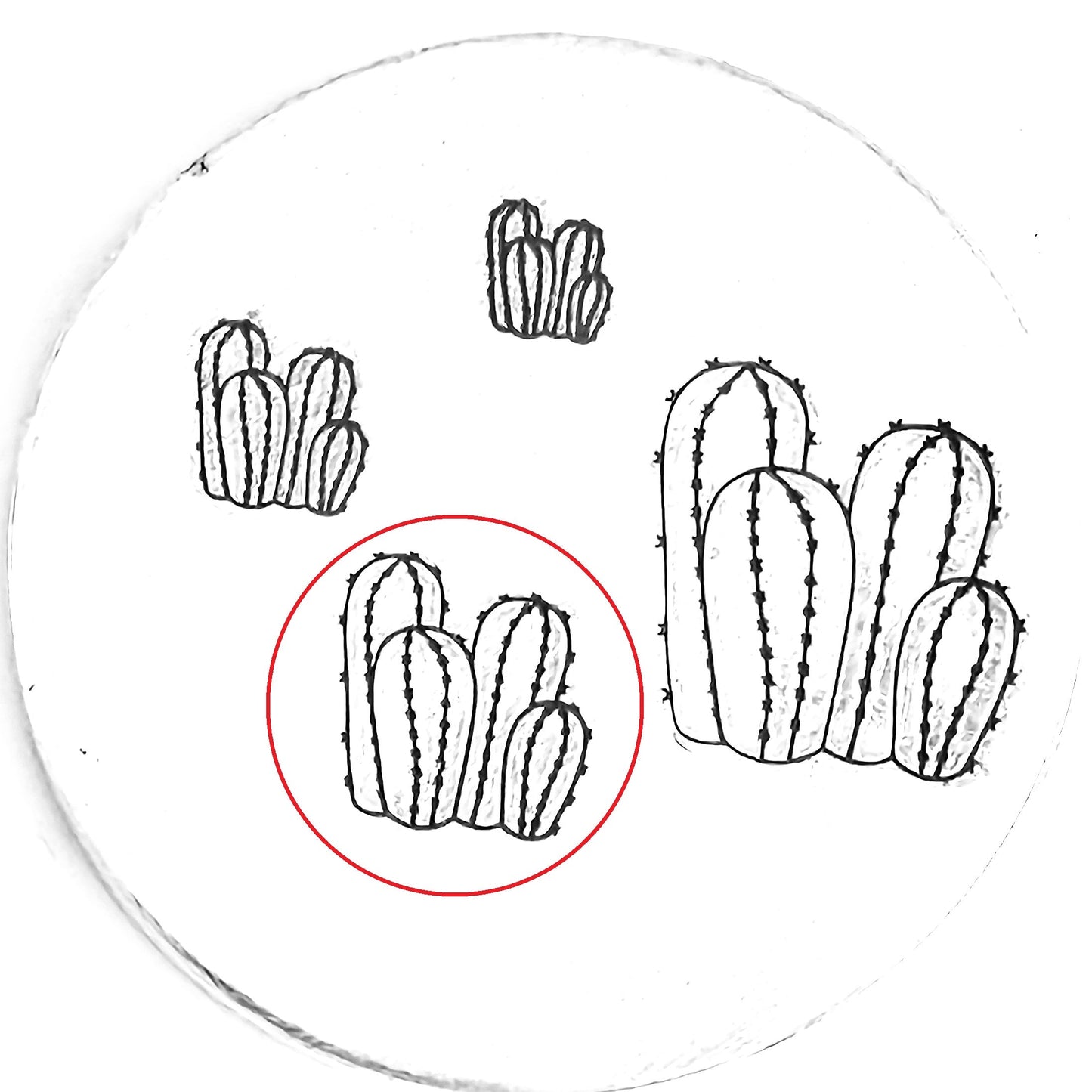 Cactus #12