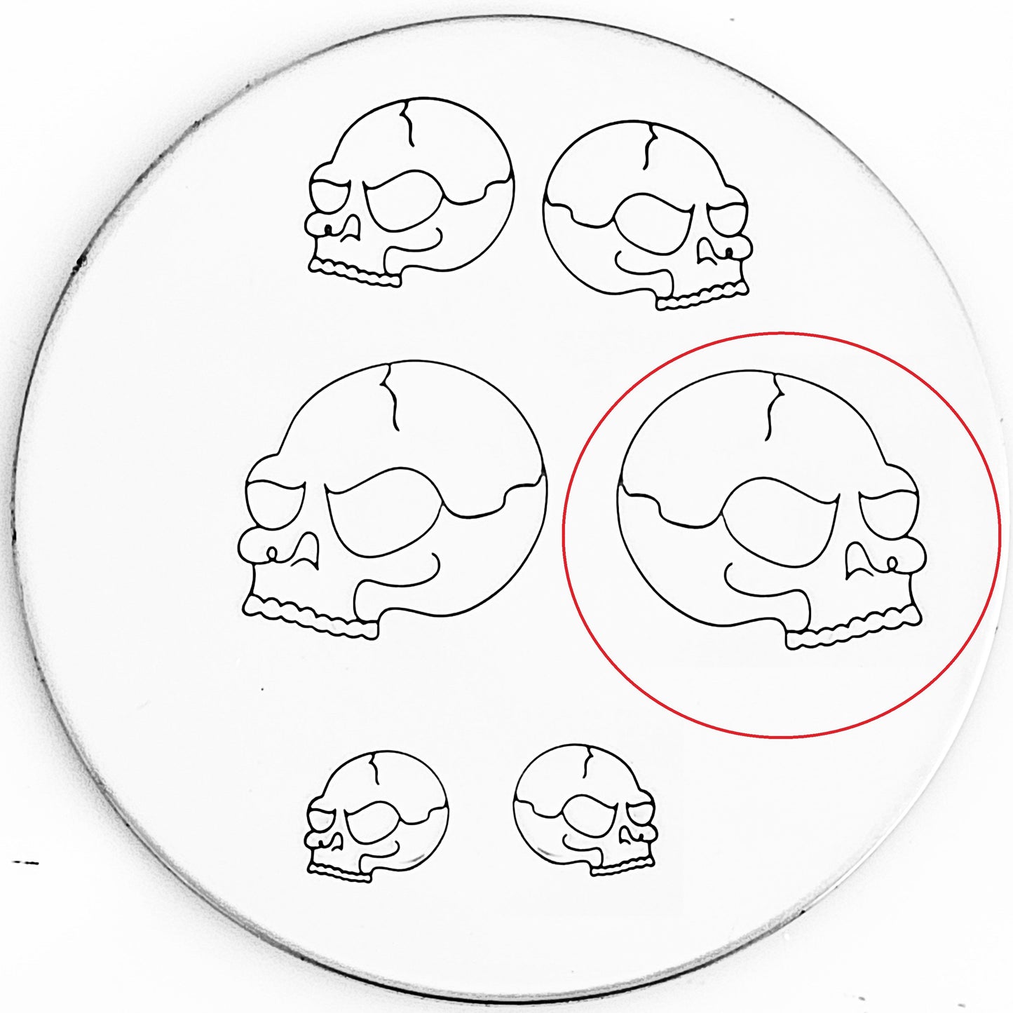 Cartoon Skull - OVERSTOCK