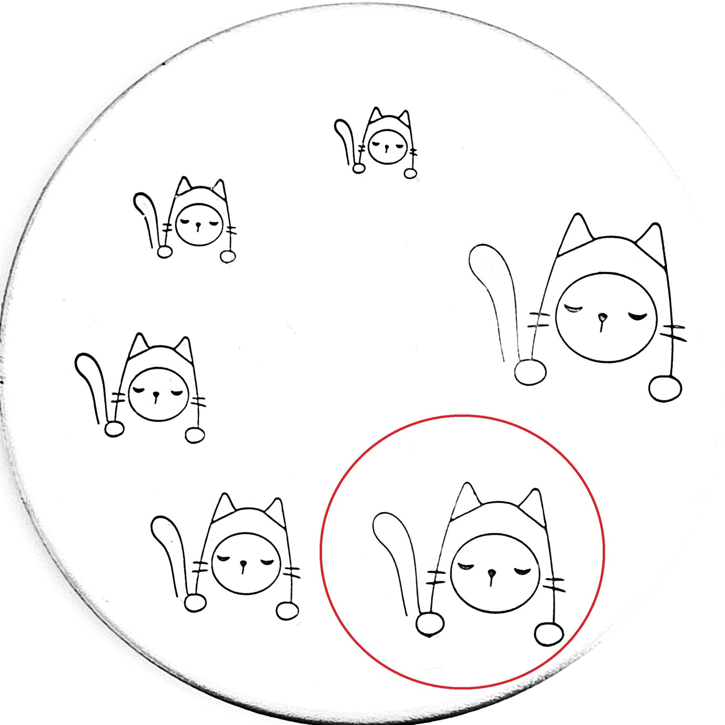 Pocket Cat #12