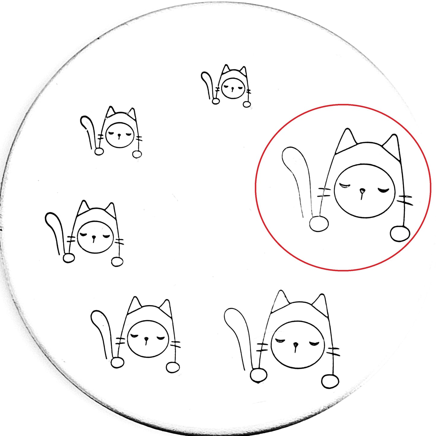 Pocket Cat #12