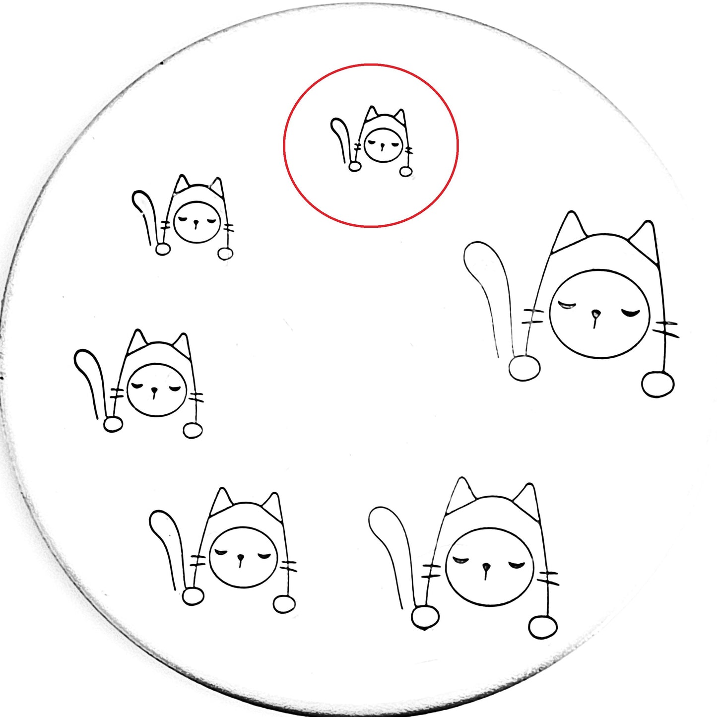 Pocket Cat #12