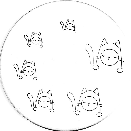 Pocket Cat #12