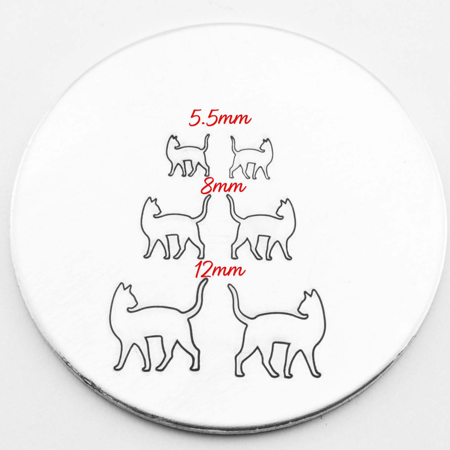 Cat Outline #05