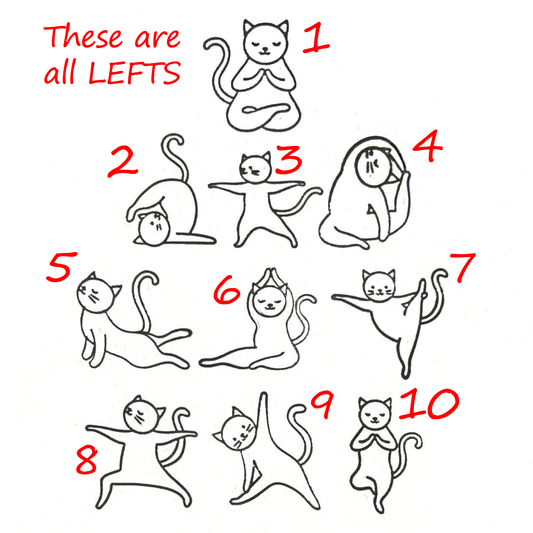 V2769-YOGA CAT #08-12-R