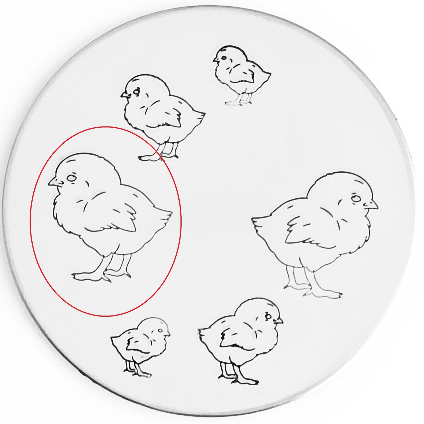 Chick #02