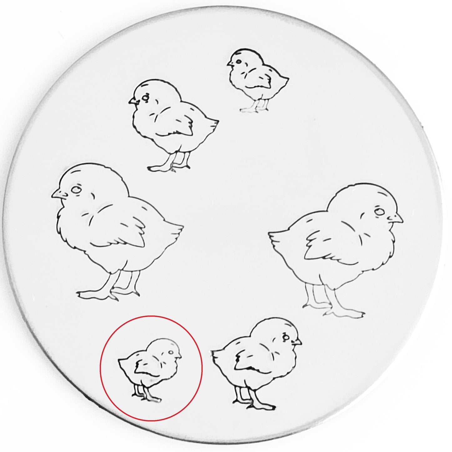 Chick #02