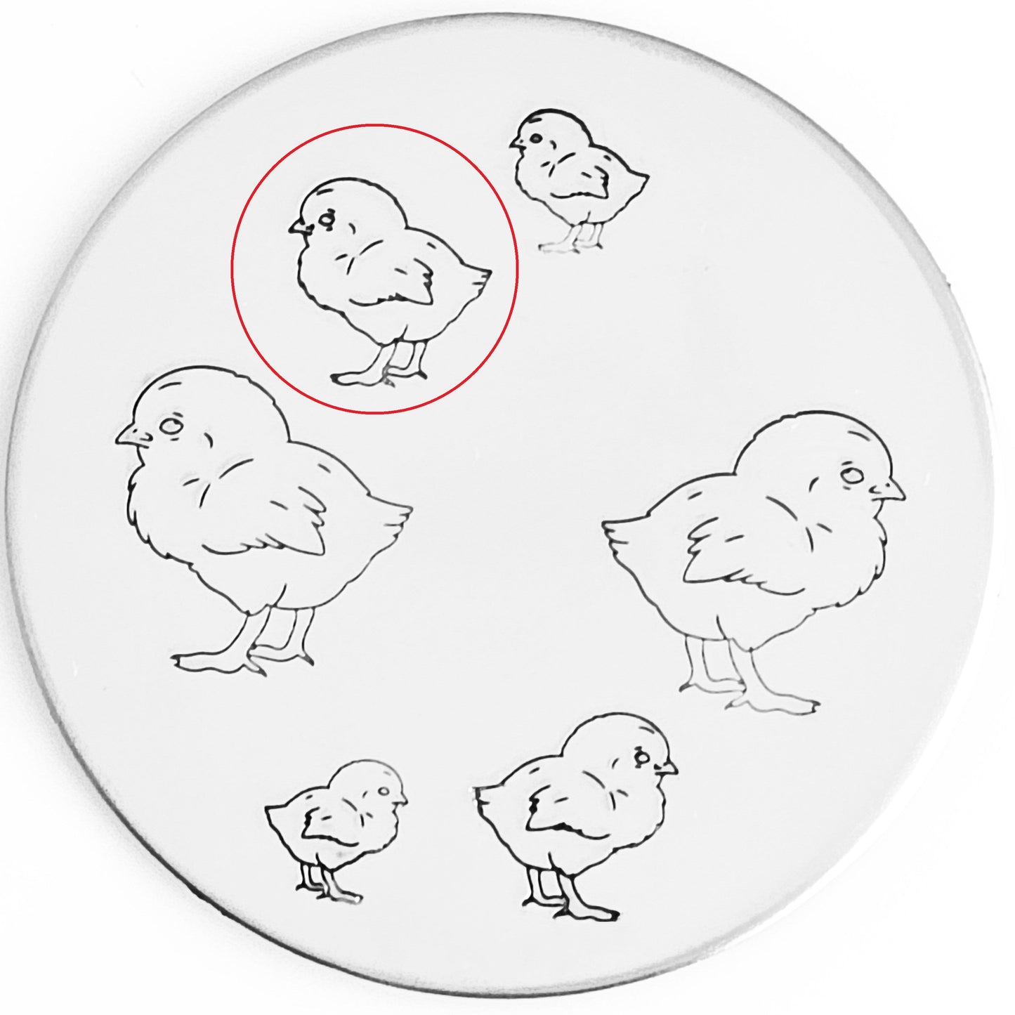 Chick #02