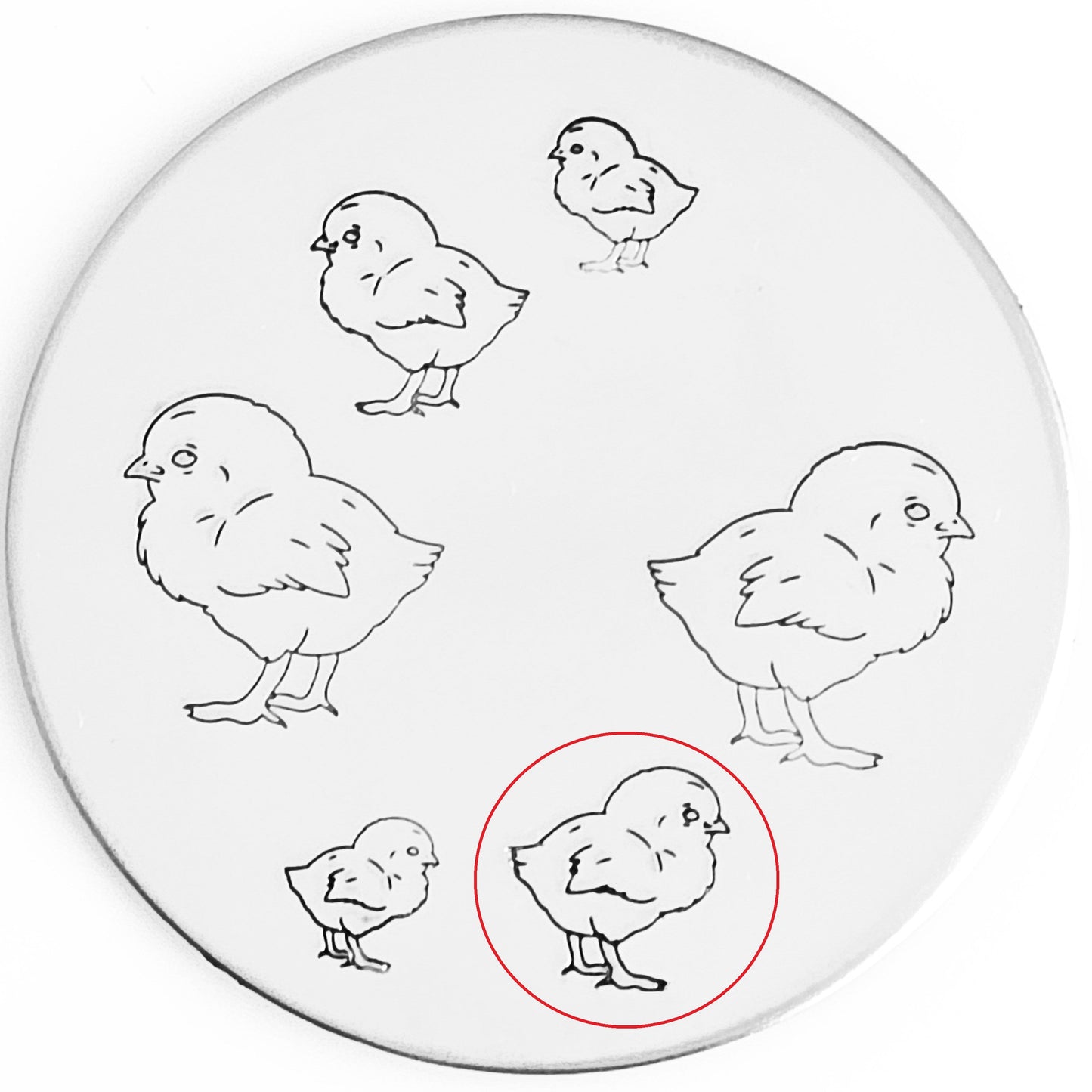 Chick #02