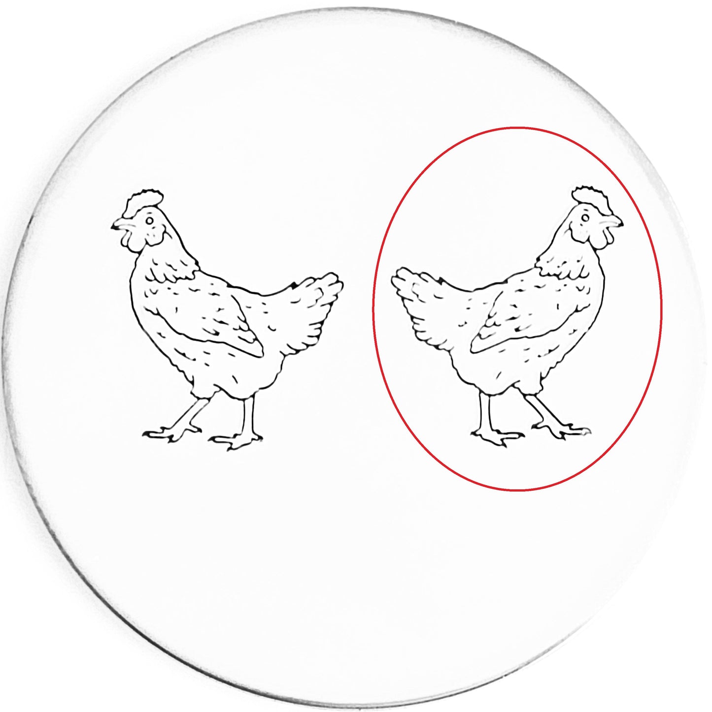 Chicken #02