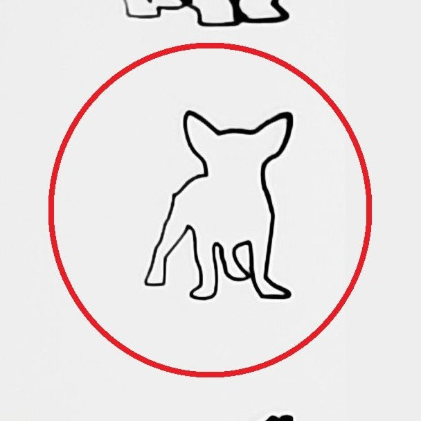Chihuahua #01