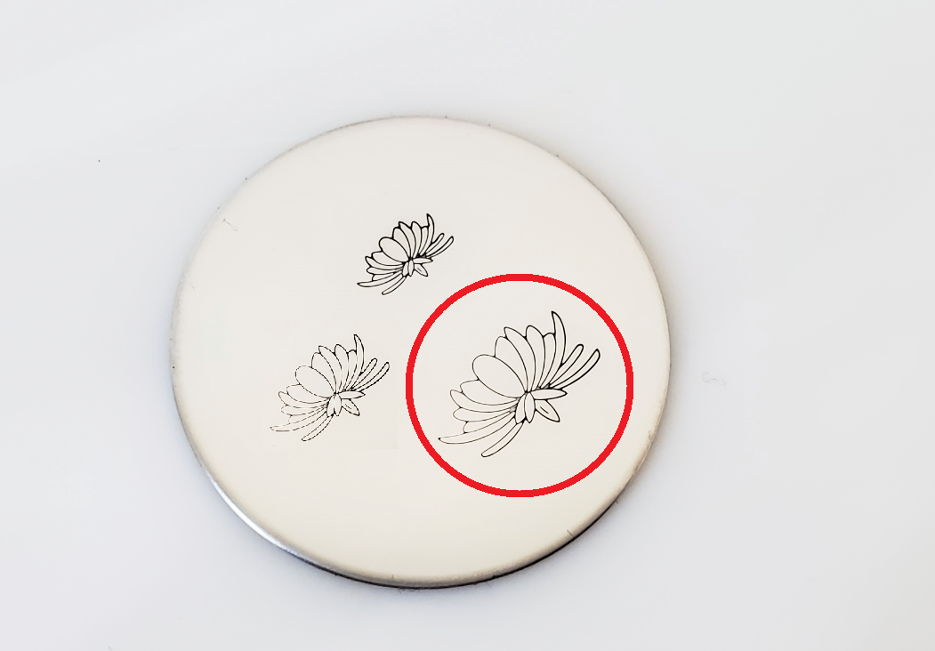 Chrysanthemum