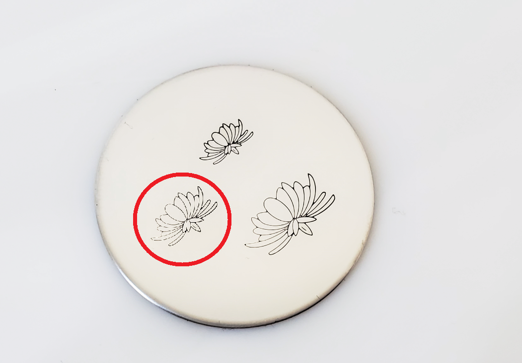 Chrysanthemum