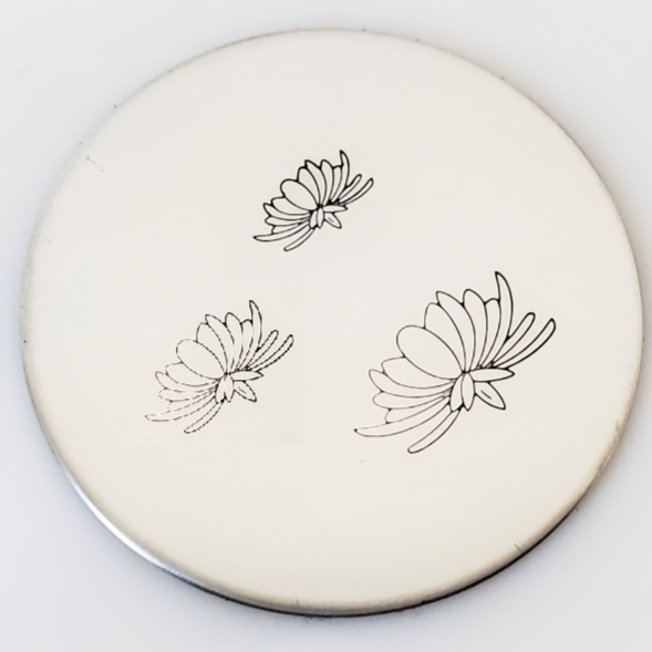 Chrysanthemum