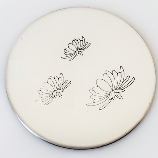 Chrysanthemum