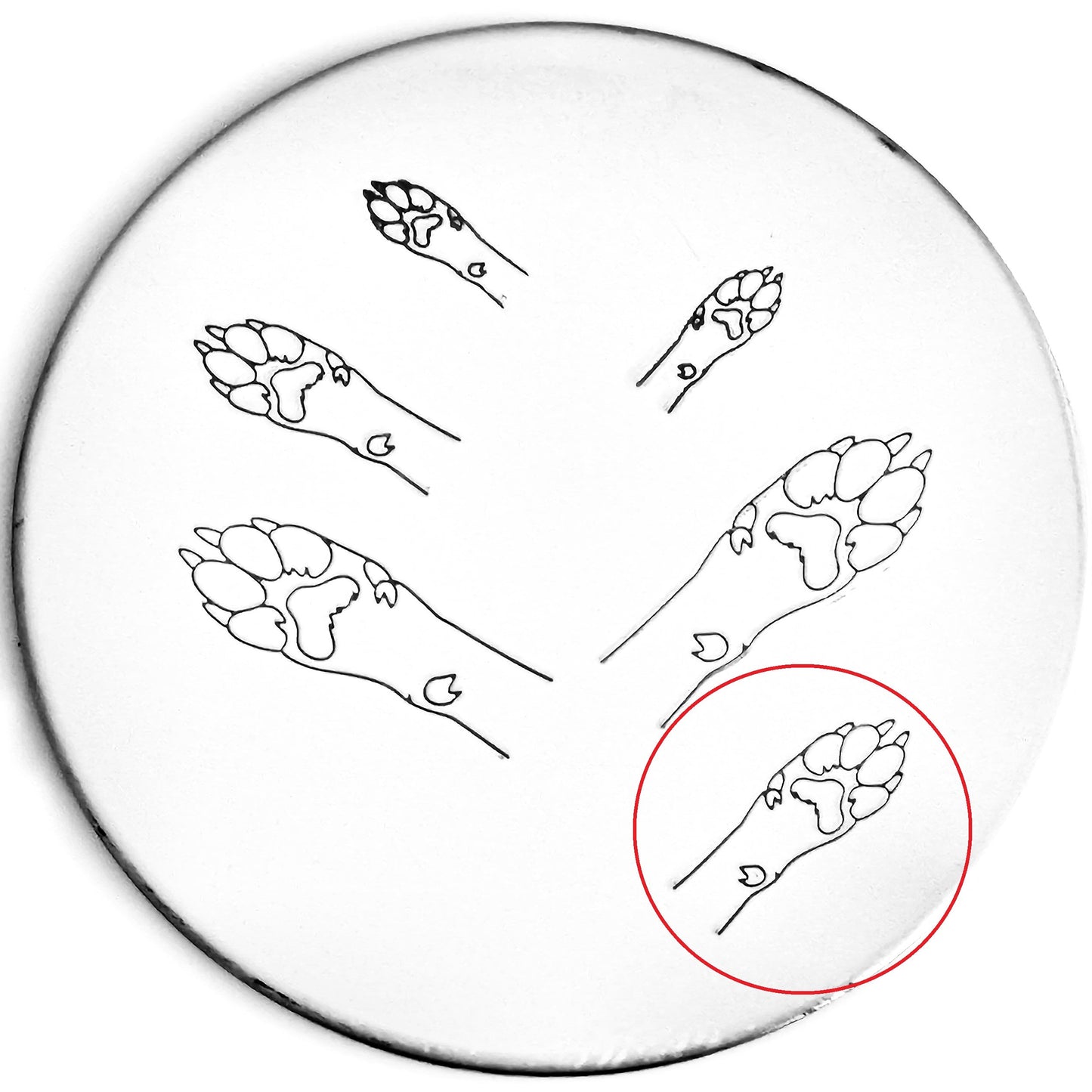 Dog Paw