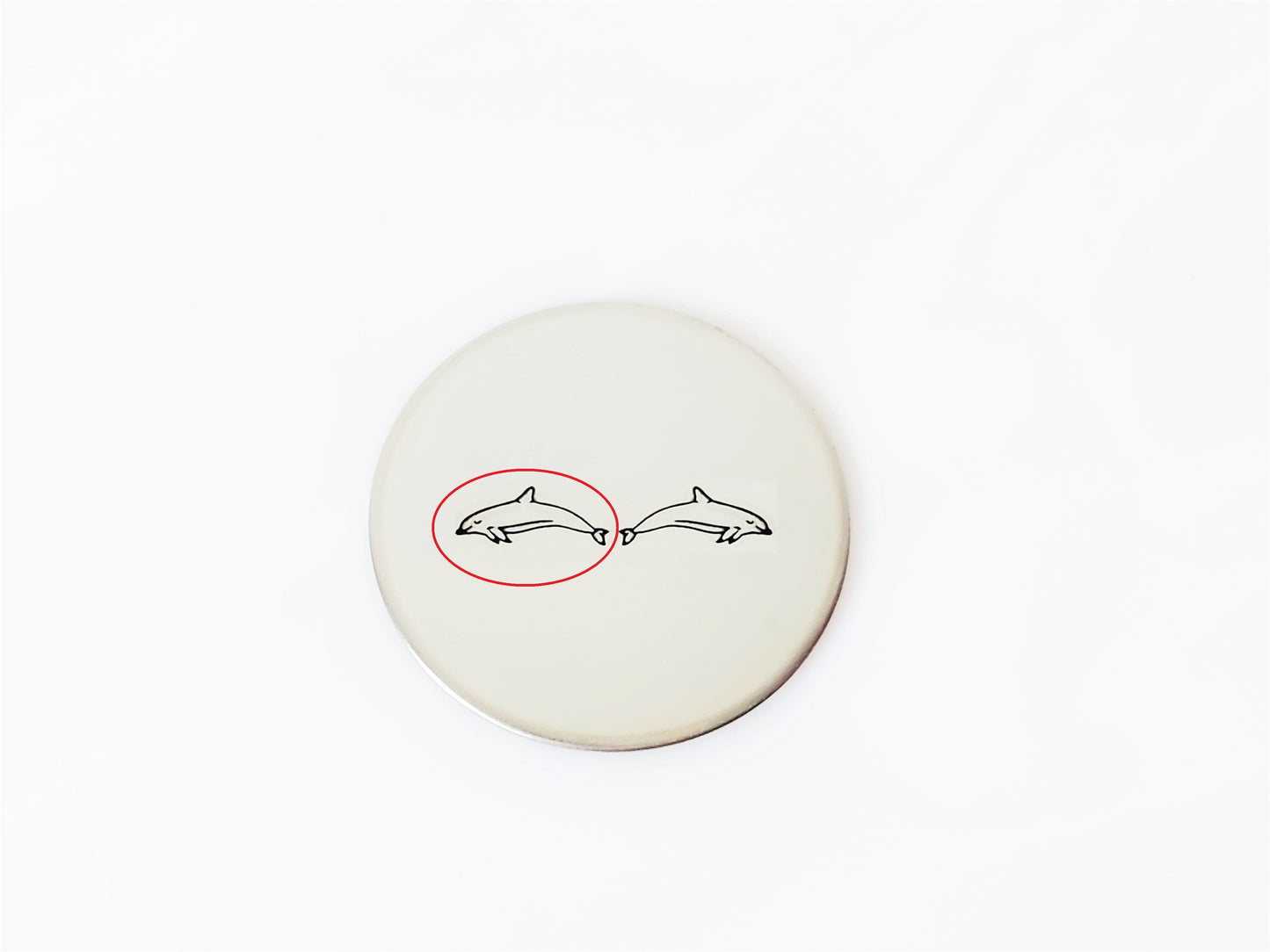 Dolphin #2
