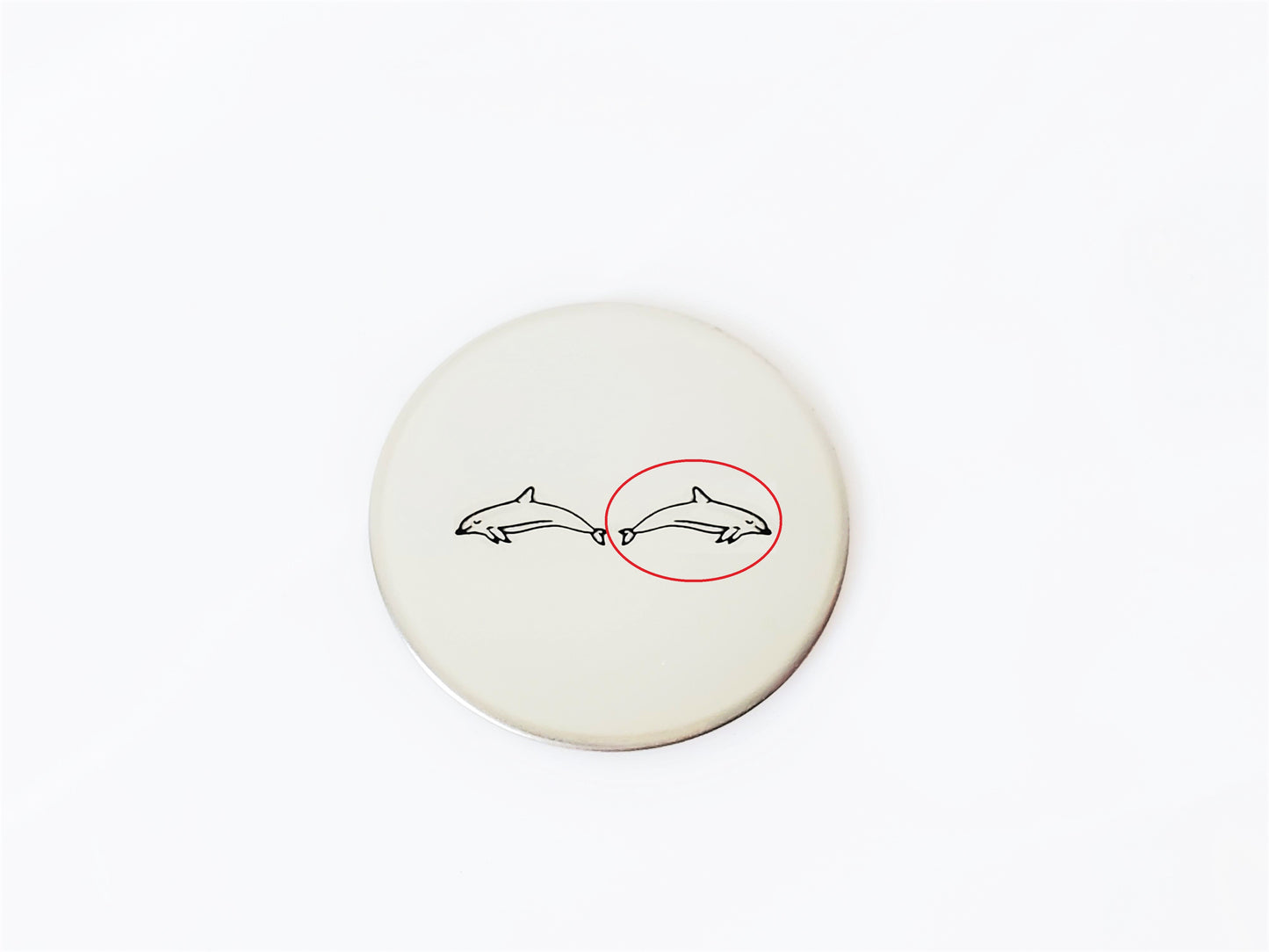 Dolphin #2