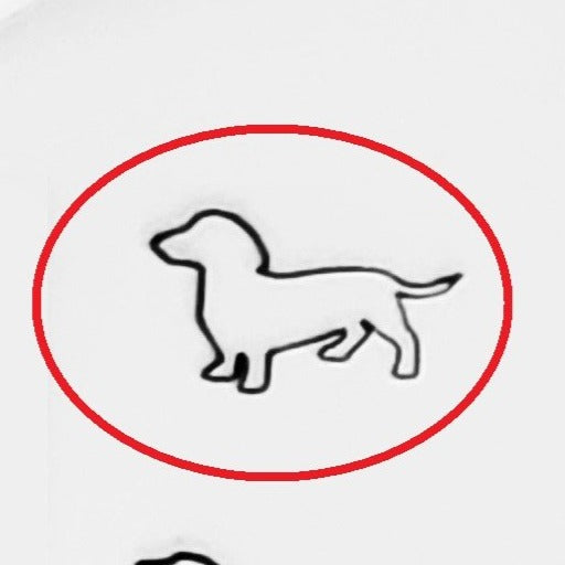 Dachshund #01