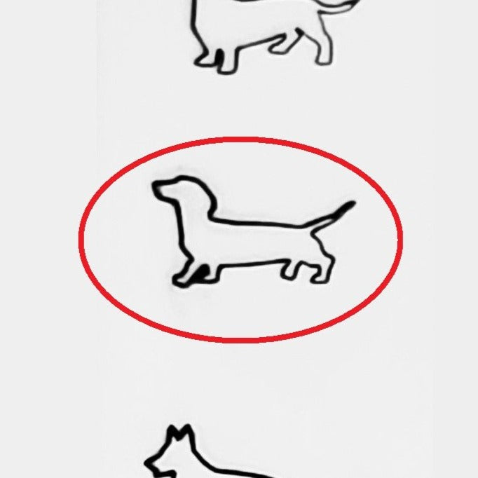Dachshund #02