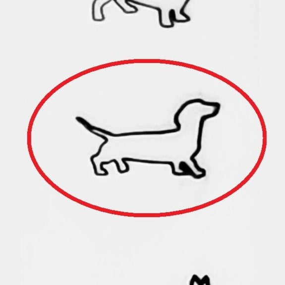 Dachshund #02
