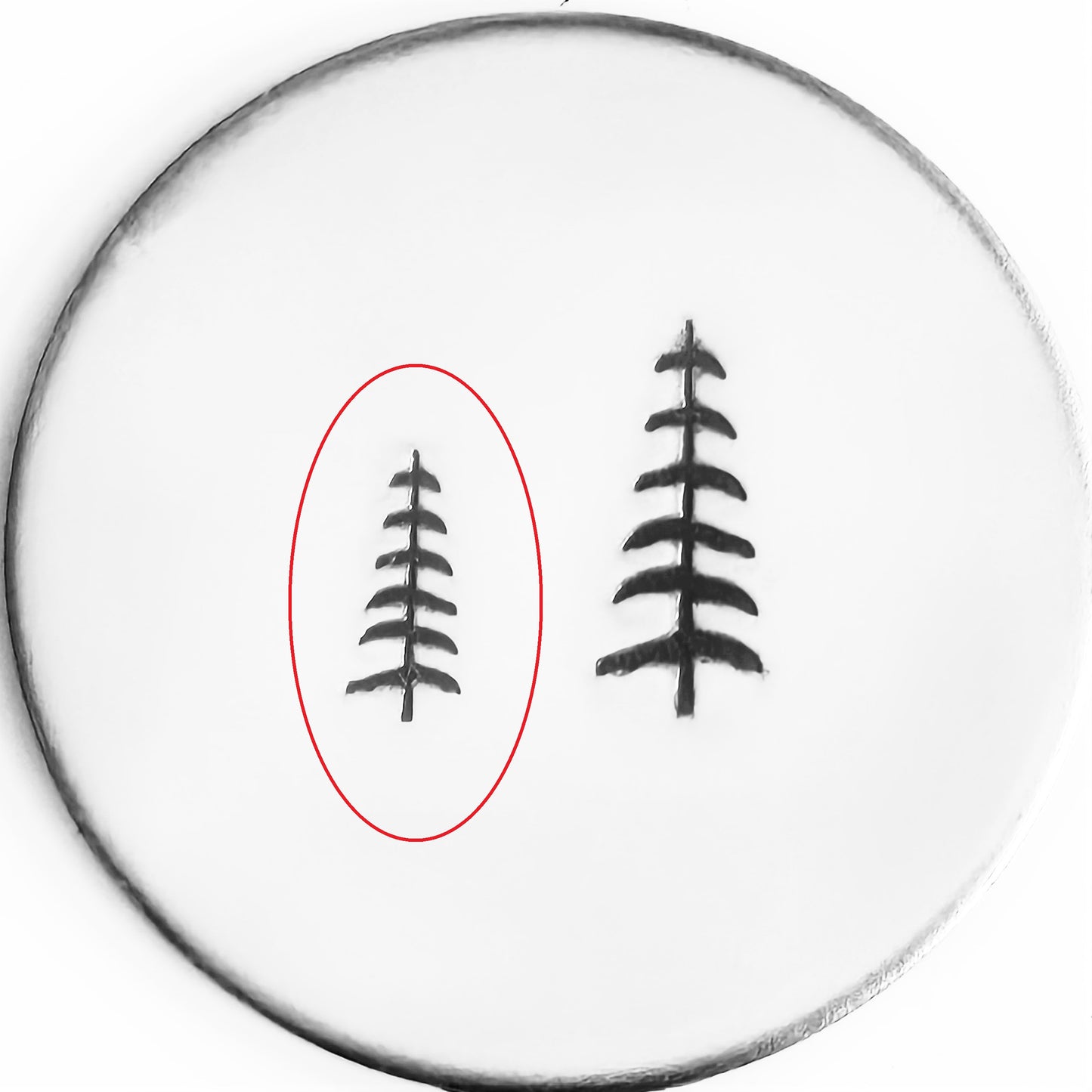 Evergreen #09