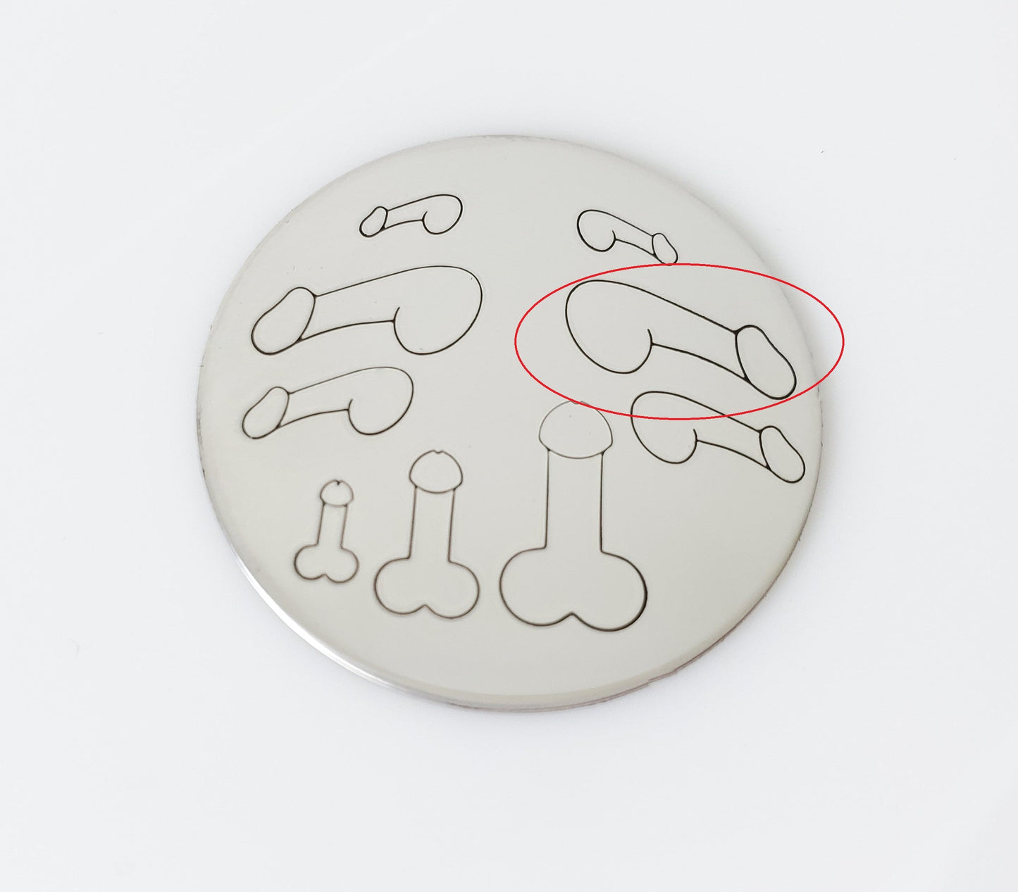 Penis